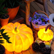 Outdoor_Pumpkin_Lamp_04