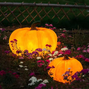 Outdoor_Pumpkin_Lamp_17