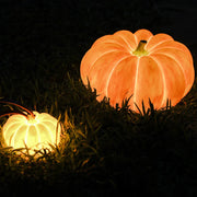 Outdoor_Pumpkin_Lamp_19